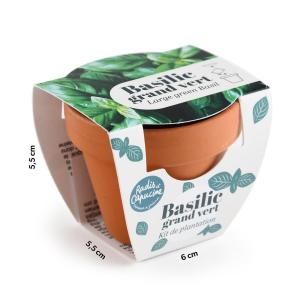 Mini kit Basilic Grand Vert - Terre Cuite - 6 cm